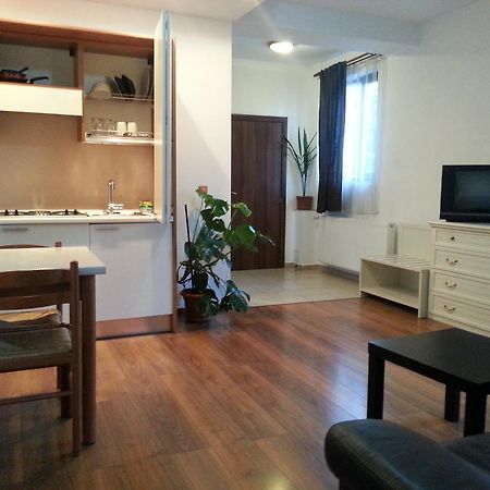 Banu Manta Apartments ブカレスト 部屋 写真