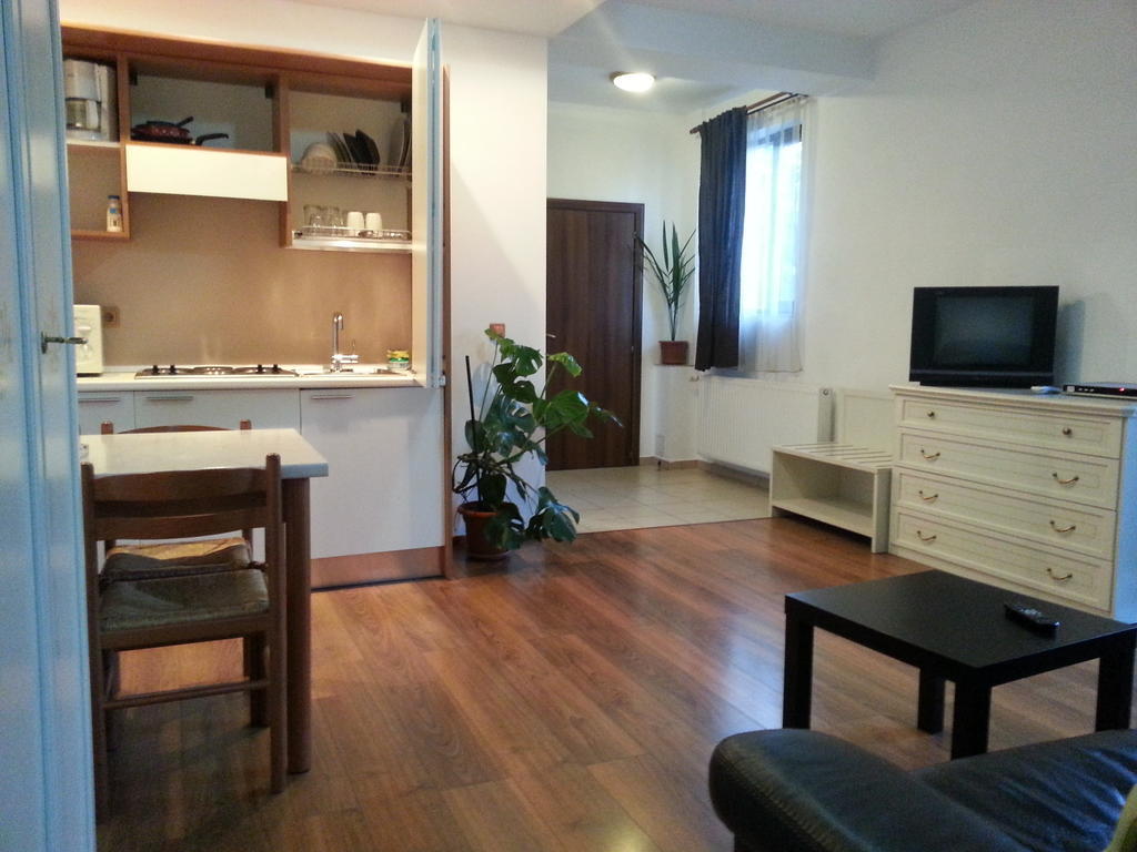 Banu Manta Apartments ブカレスト 部屋 写真
