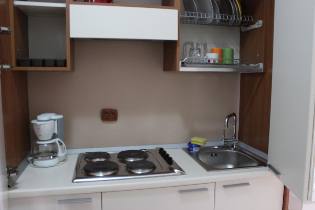 Banu Manta Apartments ブカレスト 部屋 写真